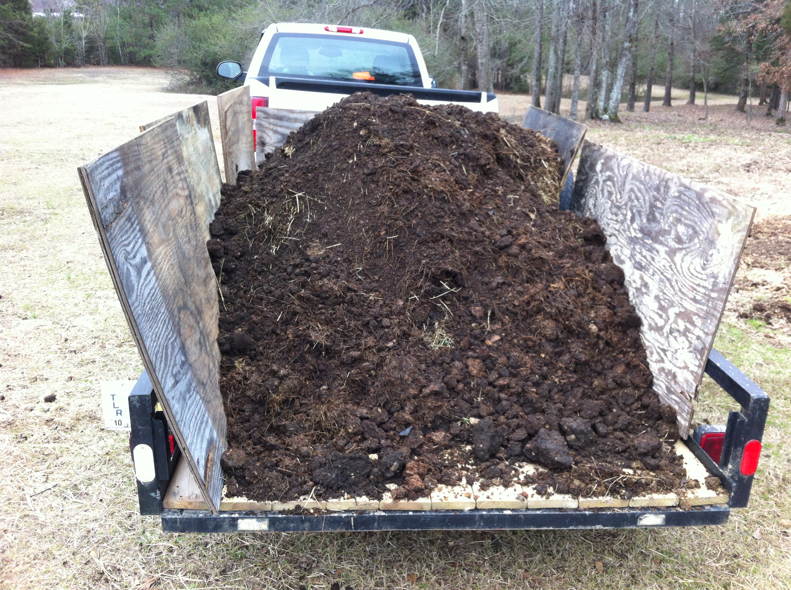 Who Knew Poo Was So Desirable Aged Composted Horse Manure Fertilizer