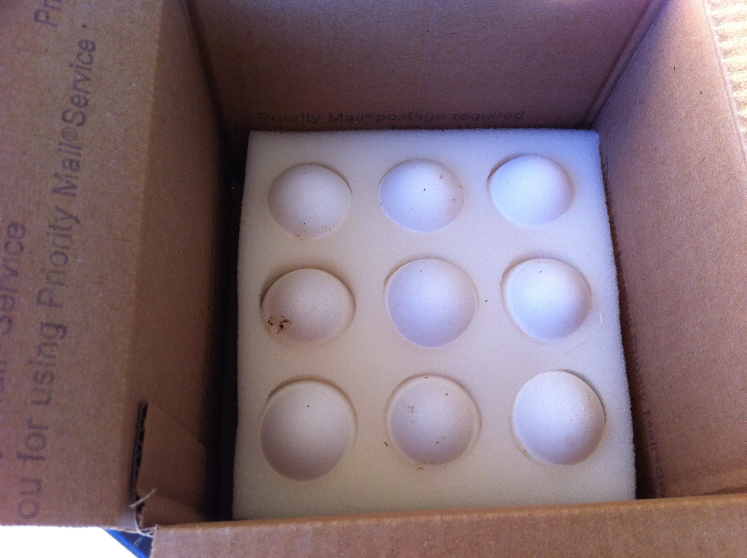 Eggs Packed up for shipping Eggs Packed up for shipping